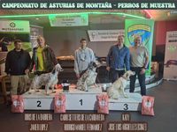 CLASIFICACION ASTURIAS