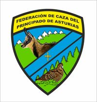 LOGO BUENO FEDERACION ASTURIAS