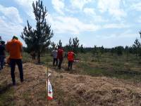 XXVI Cpto Rastro Jabali 13