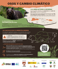 infograf&iacute;a_osos_cazadores