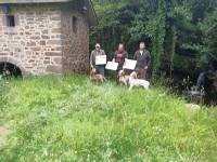 IMG_20190608_172256_1